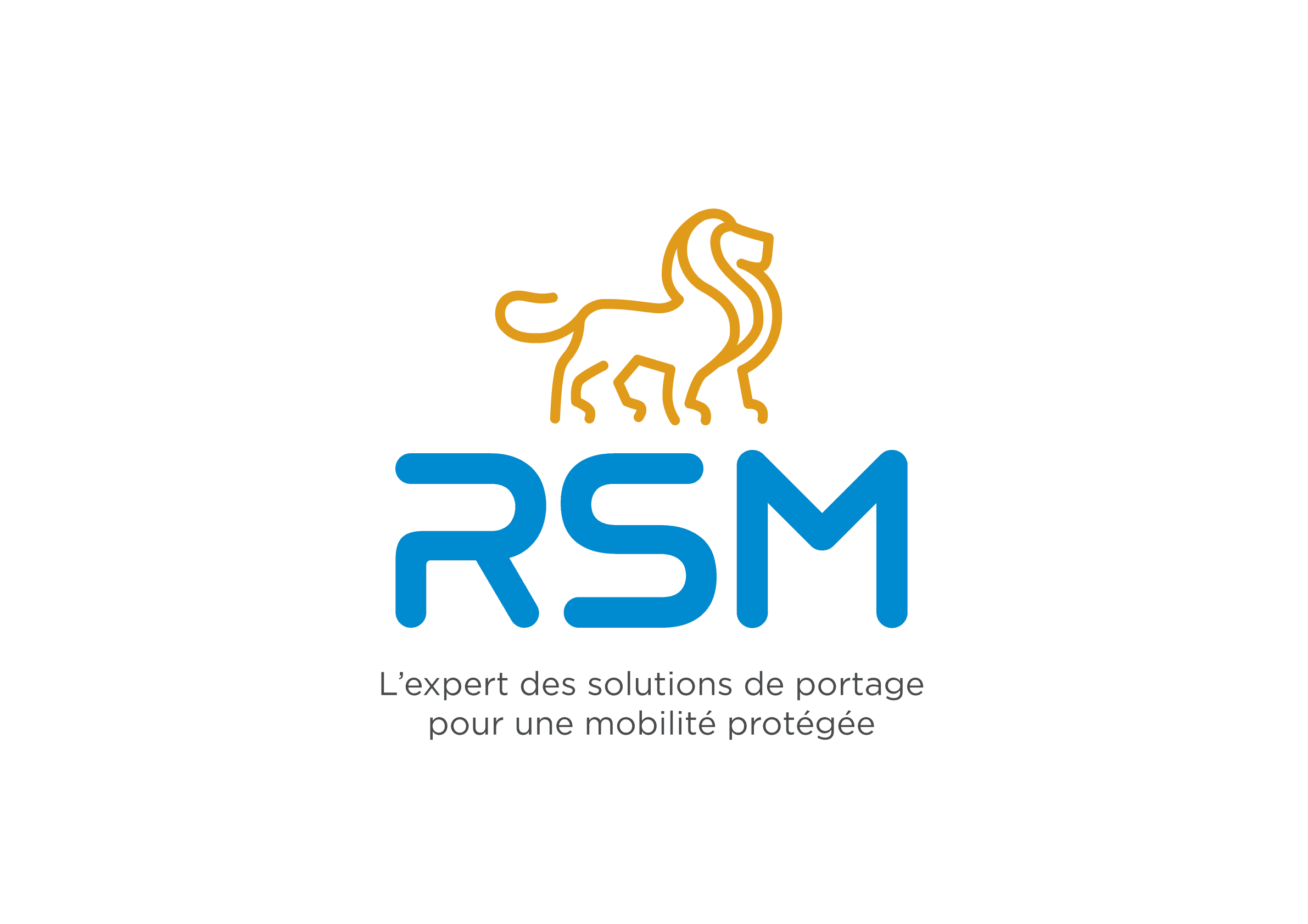 RSM_Logo__Transport