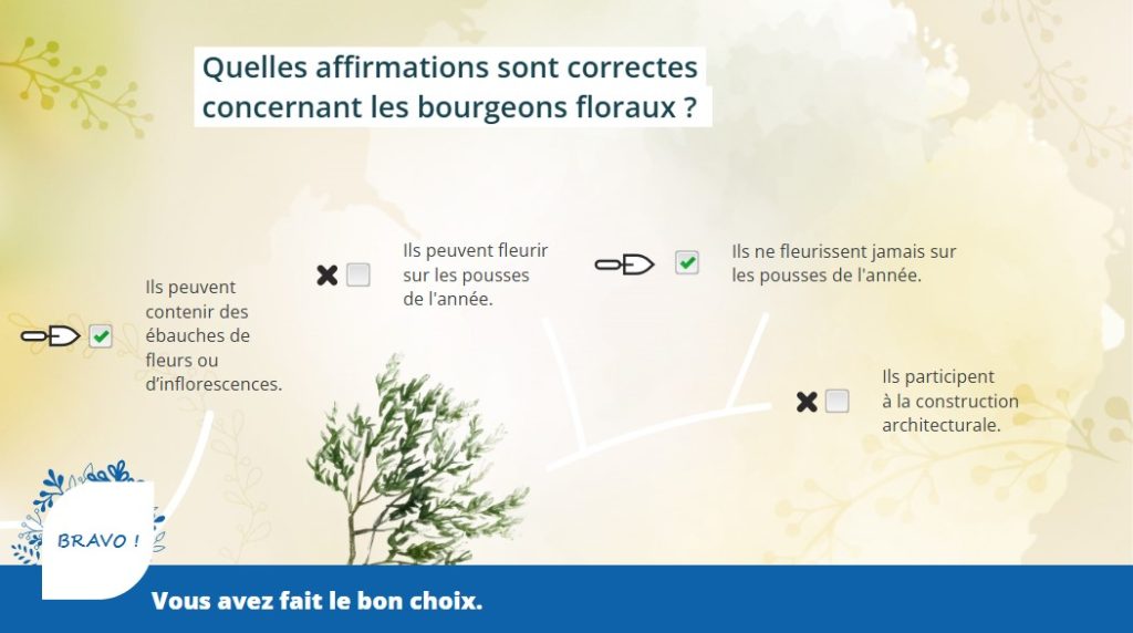 Ocapiat - question 2